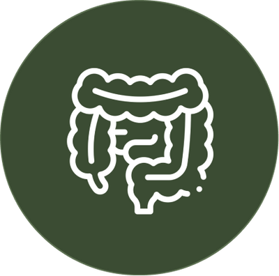 Gut Health