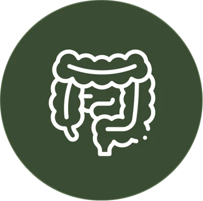 Gut Health