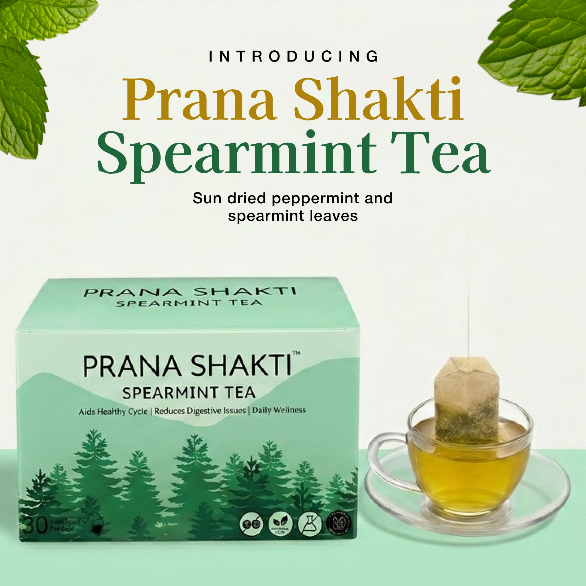 Prana shakti – Spearmint tea Secondary image